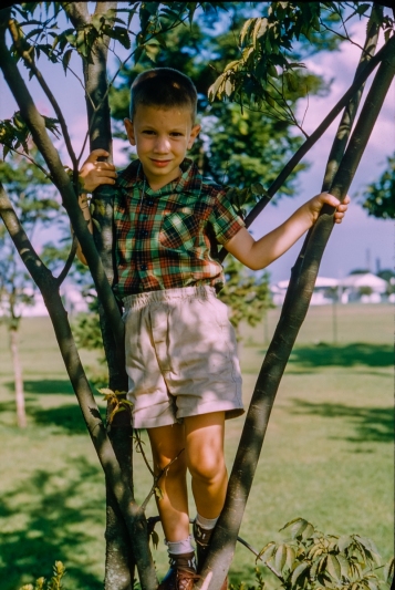 Japan 1950s