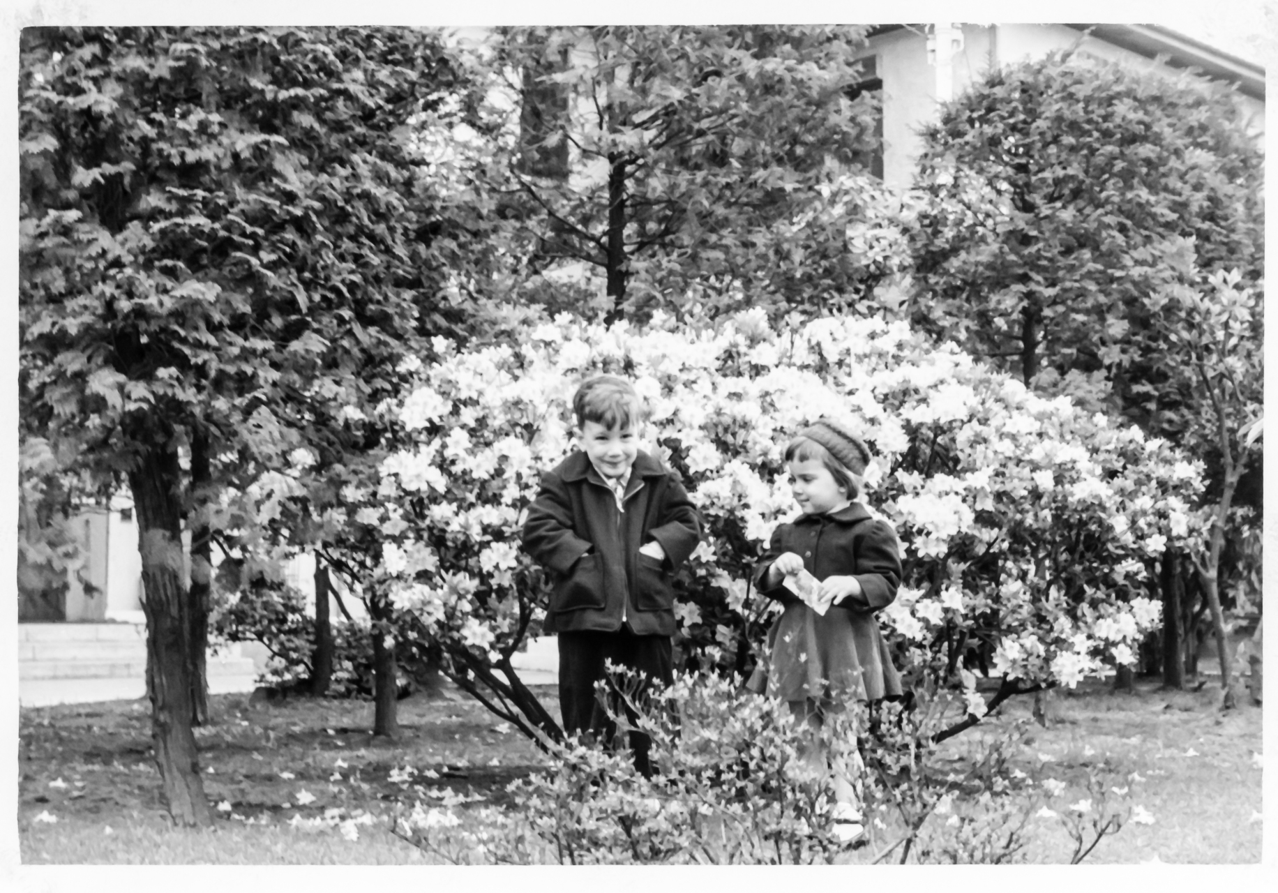 Frank/Susan Japan: 1955