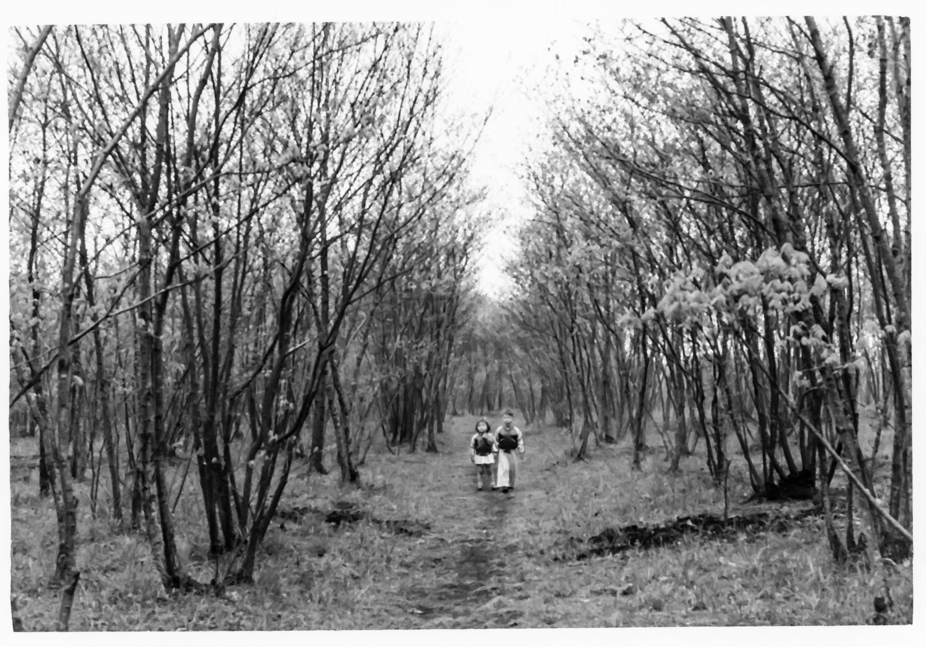 Frank/Susan Japan: 1955