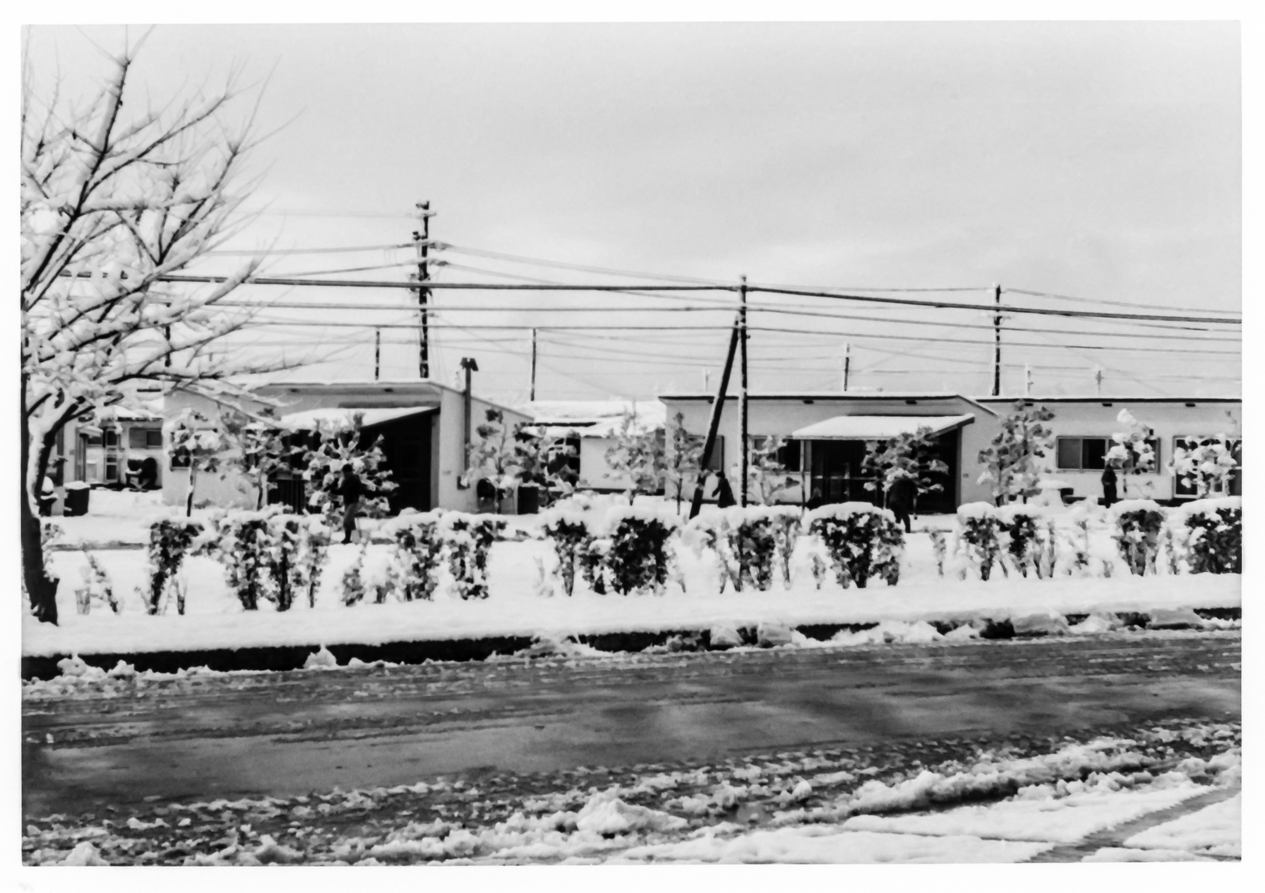 Frank/Susan/Carolyn  Japan: 1955-57