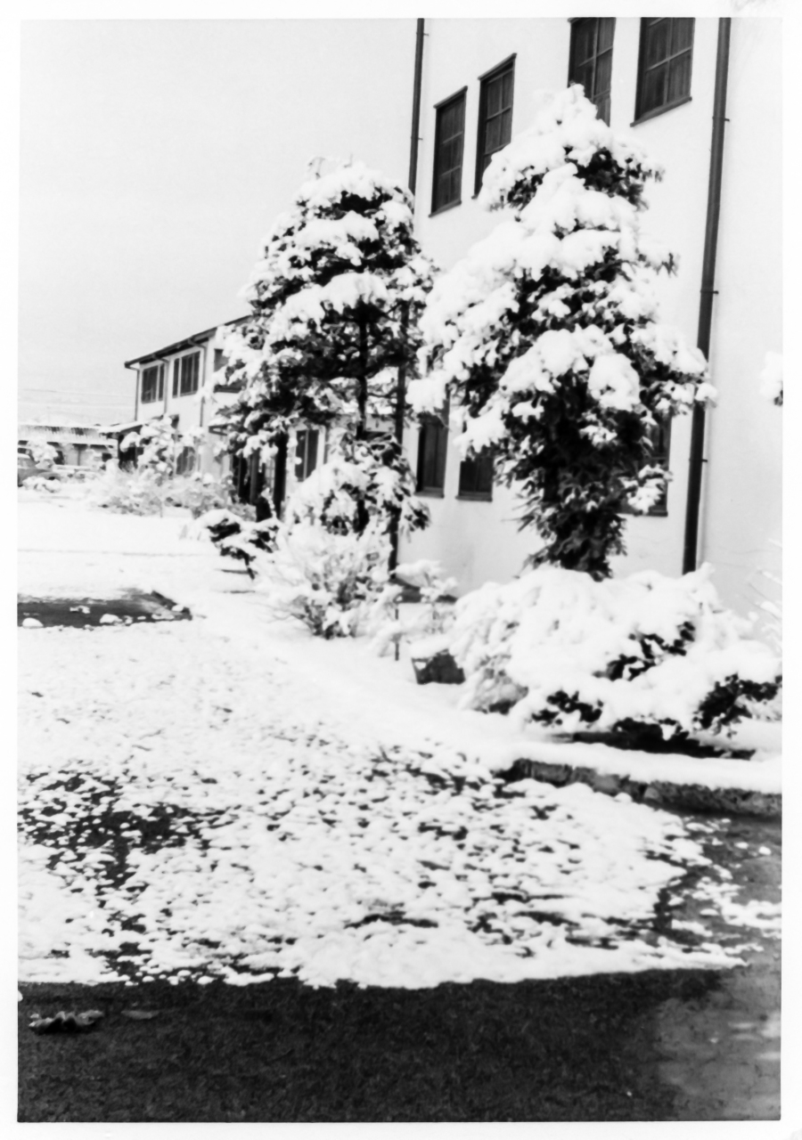 Frank/Susan/Carolyn  Japan: 1955-57