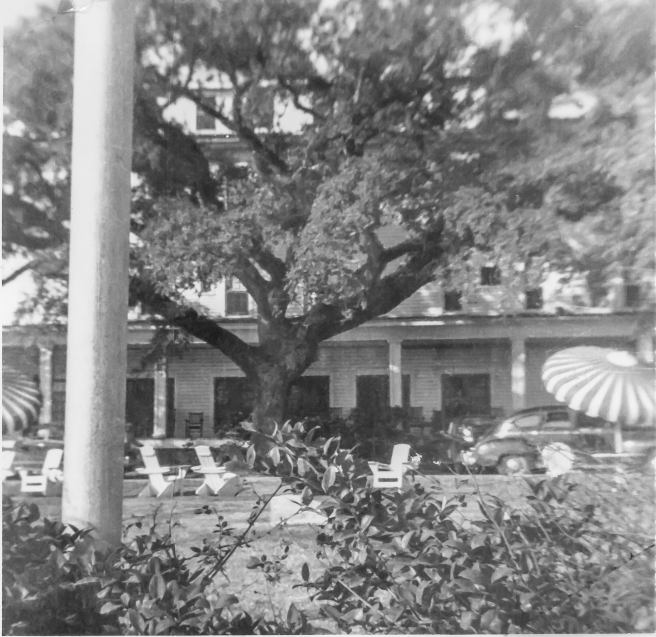 February 1951, Riviera Hotel, Biloxi, MS